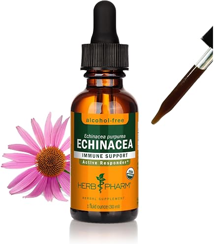 Amazon.com: Dr. Christopher's Echinacea Angustifolia Root Alcohol